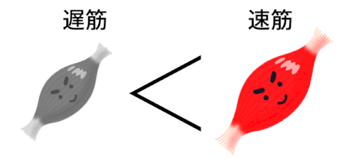 「短距離と長距離得意なのはどちらですか？」の回答画像1