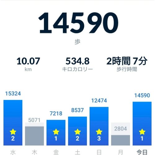 「歩数計結果です。皆さんどれくらい歩きます」の質問画像