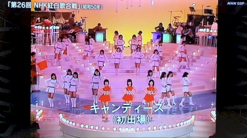「なぜスクールメイツは髪の毛が短い人が多い」の質問画像