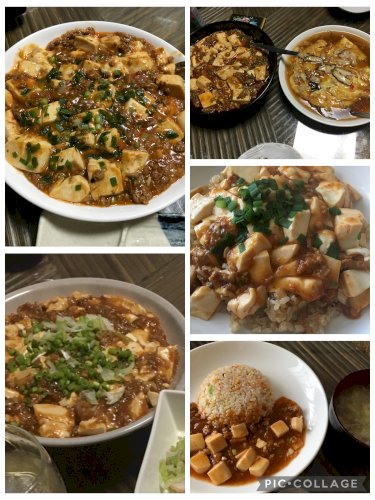 「麻婆豆腐・・。(・・?」の回答画像8