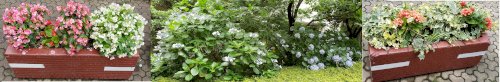 「【謎かけ】＆【雑談】しませんか？ ⭐雑談」の回答画像190