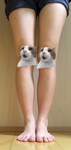 「足が太すぎて悩んでいます。 この足でスカ」の質問画像
