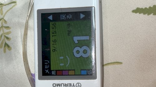 「私は2型糖尿病歴10年です。 オゼンピッ」の補足画像1