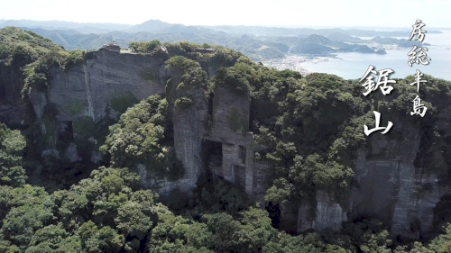「最近の山火事は、 誰が何のために燃やして」の回答画像5