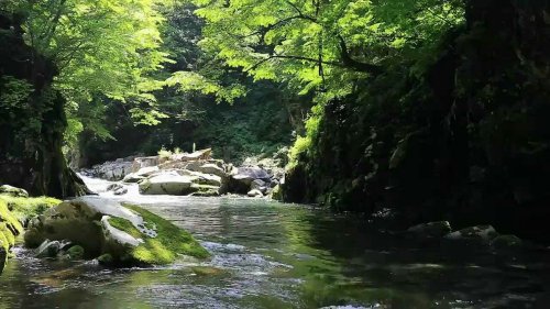 「♪ル～ルル～ルルル～ル～ルル～ルルルル～」の回答画像65