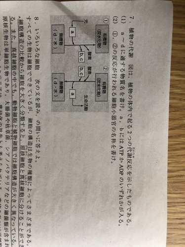「7番教えてください。」の質問画像
