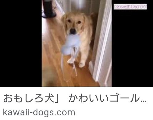 「おもろい会話しよう～１」の回答画像378