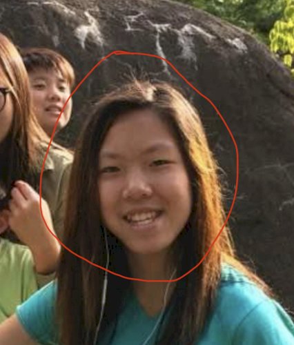 「この女性の顔はどうですか。芸能人としてデ」の質問画像