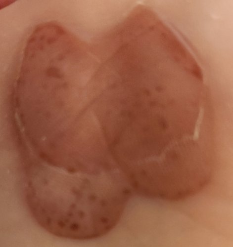 「【⚠️閲覧注意⚠️】 慣れないヒールで数」の質問画像