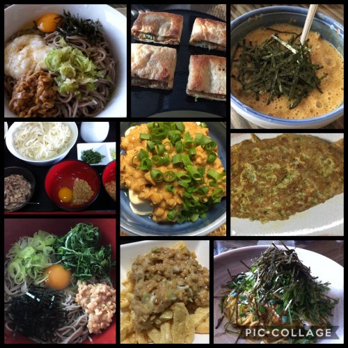 「ひきわり納豆。寿司やご飯にかける以外で何」の回答画像16