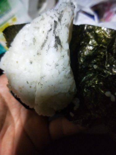 毛黴