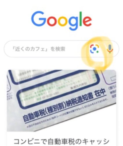 「この植物の名前を教えて下さい｡」の回答画像4