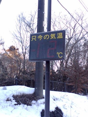 「元旦のサファリパーク」の回答画像4