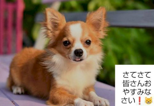 「ぐっすり寝Night」の回答画像154