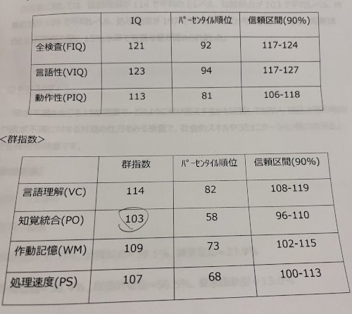 「発達検査の結果（wais-III） 下記」の質問画像