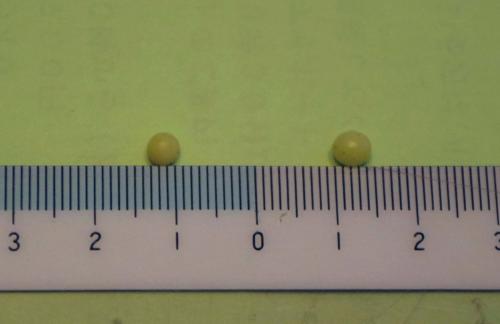 「直径４mm前後の虫の卵です。何の卵か教え」の質問画像