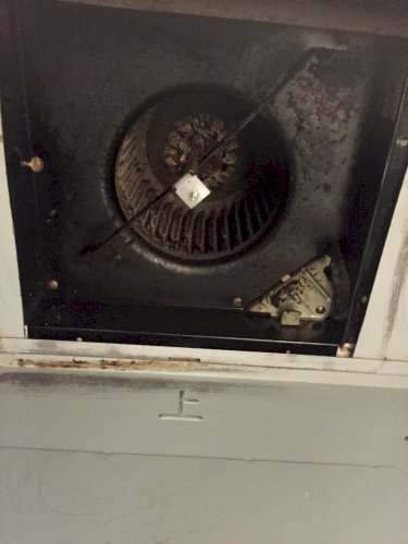 「換気扇の外し方わかりません。」の補足画像1