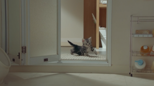 「猫のどこが好きですか？」の回答画像3