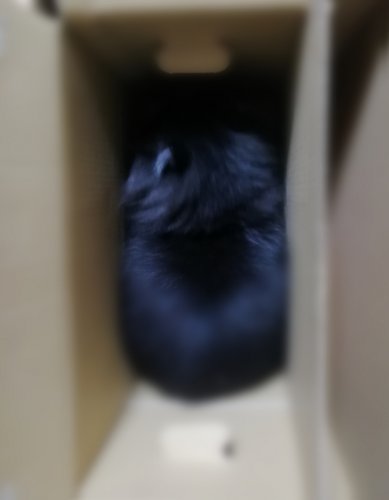 「上と下のコントロール」の回答画像25