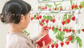 「【謎かけ】＆【雑談】しませんか？ ⭐雑談」の回答画像30