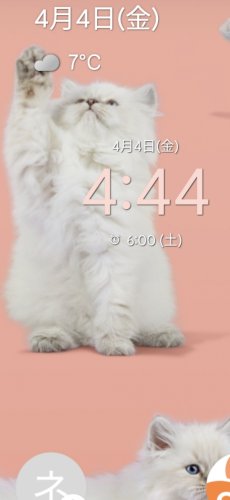 「こんなのって滅多やたらには無い！ と思い」の質問画像