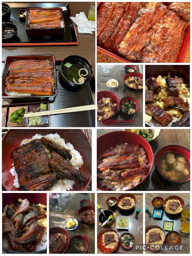 「うなぎ」の回答画像14