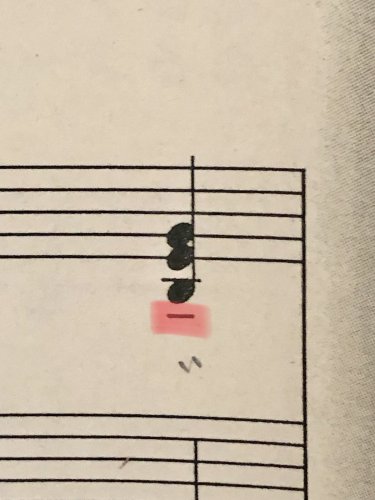 「マーカー部分の音楽記号はどのような意味で」の質問画像
