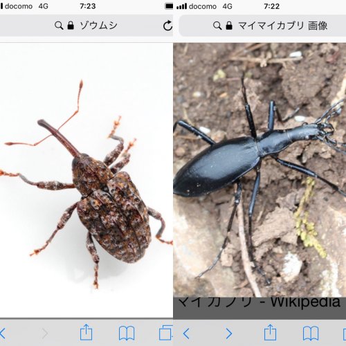 「何か恐れていますか？」の回答画像19