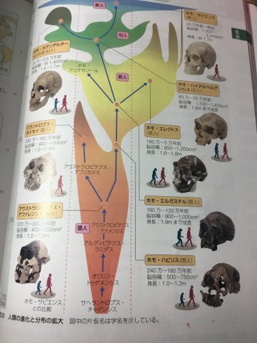 「これあてはまるやつほかにもありませんか？」の補足画像1