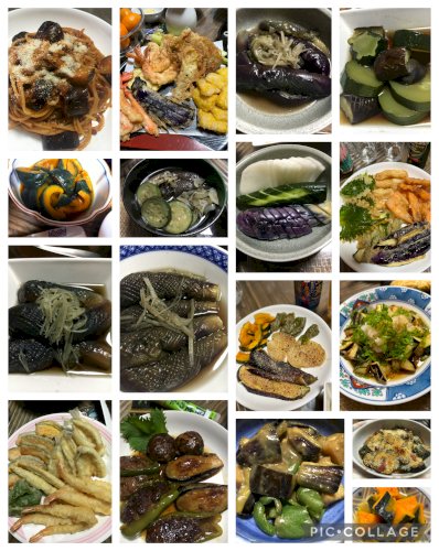 「茄子とかぼちゃ」の回答画像2
