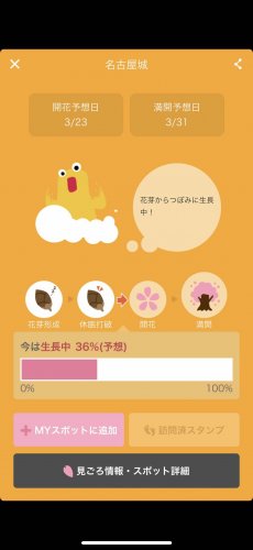 「名古屋櫻花」の回答画像2