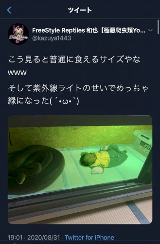 「このようなえげついツイートを見かけたので」の質問画像