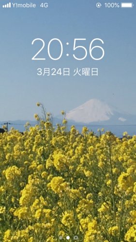 「皆さんのスマホのロック画面の画像は何にし」の回答画像2