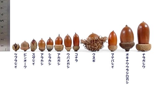 「山口大、愛媛大、鹿児島大(すべて工学部)」の回答画像3