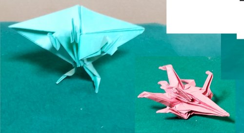 「爬虫類カフェについての質問です。 デート」の回答画像1