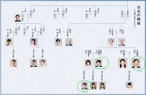 「女系天皇反対派の方は 男系を維持出来なく」の回答画像3