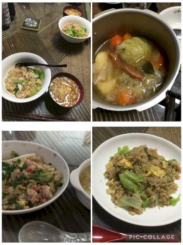 「レタスの食べ方」の回答画像11