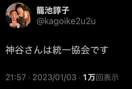 「参政党さや「私をみなさんのお母さんにして」の回答画像2