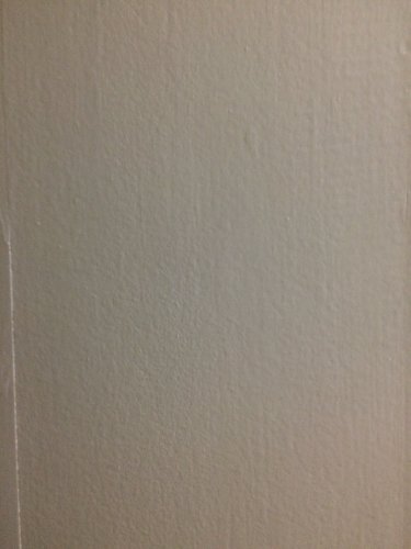 「水性塗料の名前」の質問画像