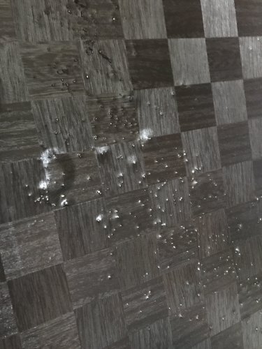 「部屋の壁にこんなブツブツが急に…… これ」の質問画像