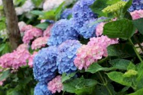 「【謎かけ】＆【雑談】しませんか？ ⭐雑談」の回答画像193