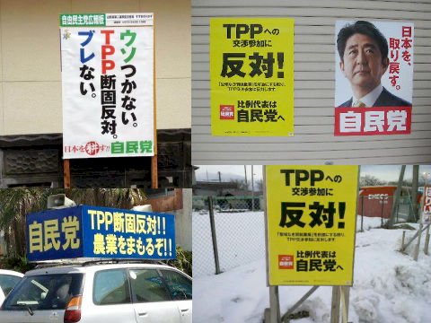 「選挙前後」の回答画像10
