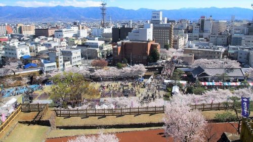 「この写真は何市の写真だと思いますか？ 回」の回答画像1
