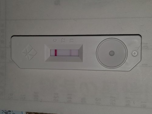 「コロナウイルス感染後の出勤等について質問」の補足画像1