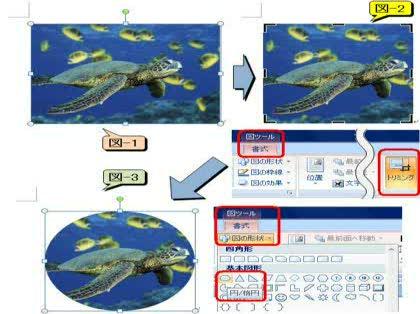 写真を丸型にトリムするには 写真を丸型にトリムするには Wordに貼 Excel エクセル 教えて Goo