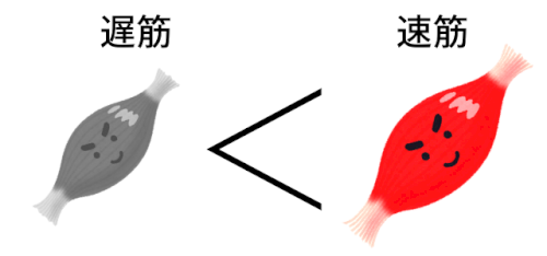 「効率的に長距離を速くする方法ってあります」の回答画像2