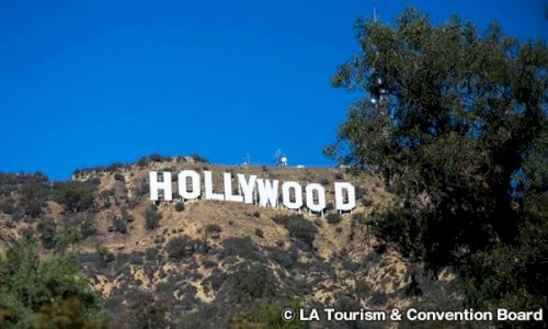 「私は80年代90年代のHollywood」の質問画像