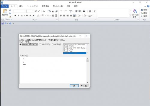 「PC起動時に変なファイルが立ち上がってく」の質問画像