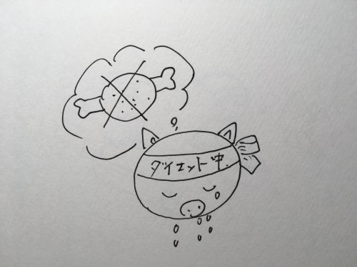 「きになる方へ・・・朗報ですブゥ」の回答画像66