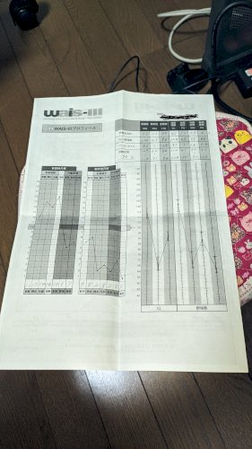 「発達検査の結果（wais-III） 下記」の回答画像3